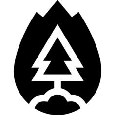 Forest fire