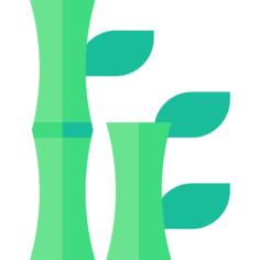Bamboo