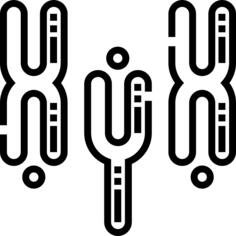 Chromosome