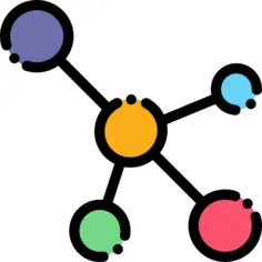 Network