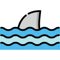 Shark
