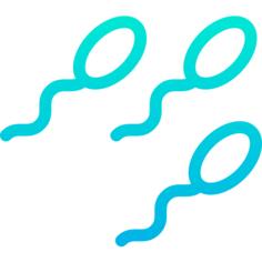 Sperm