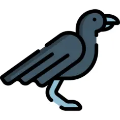 Crow
