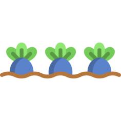 Vegetable garden