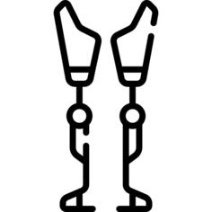 Prothesis