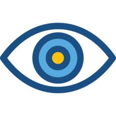 Eye