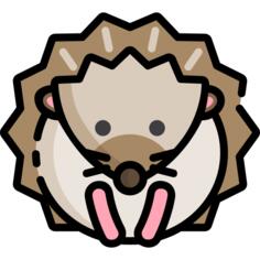 Hedgehog