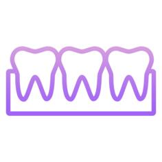 Teeth