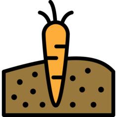 Carrot