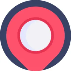 Pin