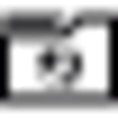Downloads Folder