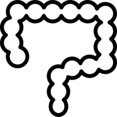 Intestines