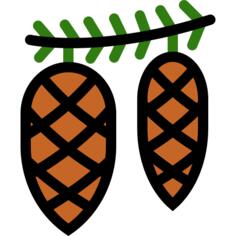 锥