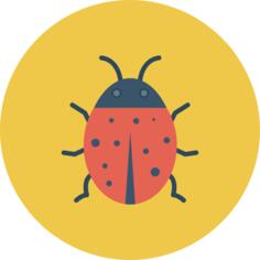 Bug