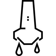 Nose