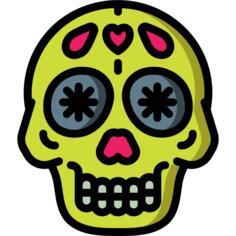 Skull