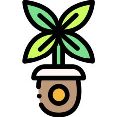 Plant