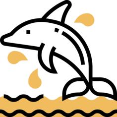 Dolphin