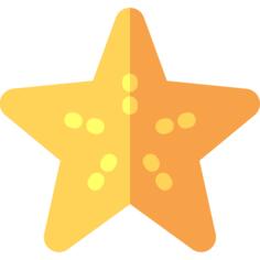 海星