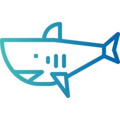 Shark