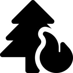 Forest fire