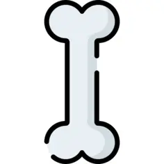 骨