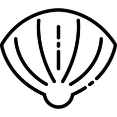 Clam