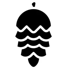 Pine cone