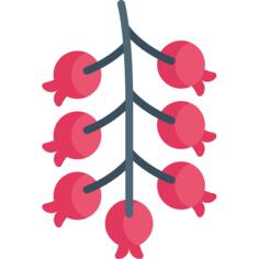 Berries