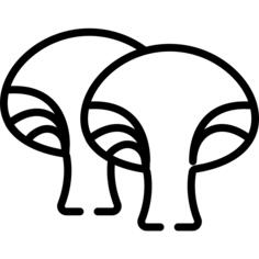 Mushrooms