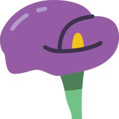 Arum