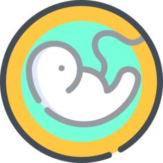 Pregnancy