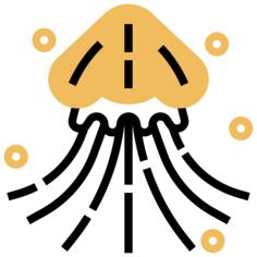 Jellyfish