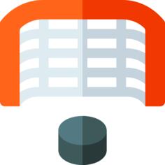 Hockey goal