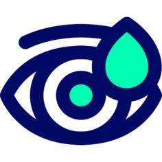 Eye