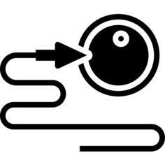 Fertilization
