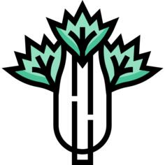 芹菜