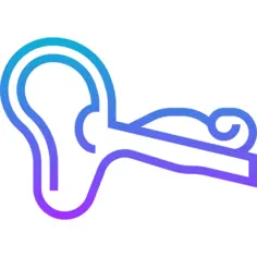Ear