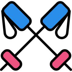 Ski sticks