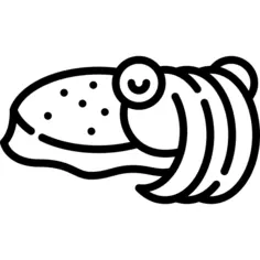 Cuttlefish