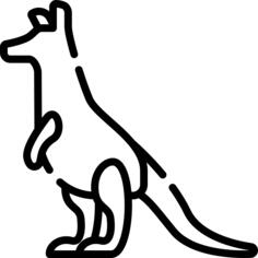Wallaby
