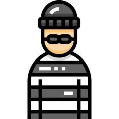 Burglar