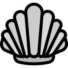 Scallop