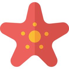 海星