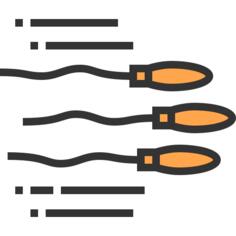 Spermatozoon