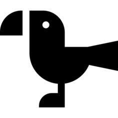 Toucan