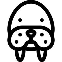Walrus