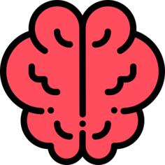 Brain