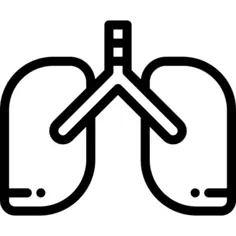 Lungs