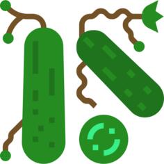 Cucumbers